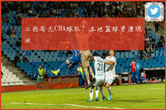 江西有无CBA球队？本地篮球资源现状