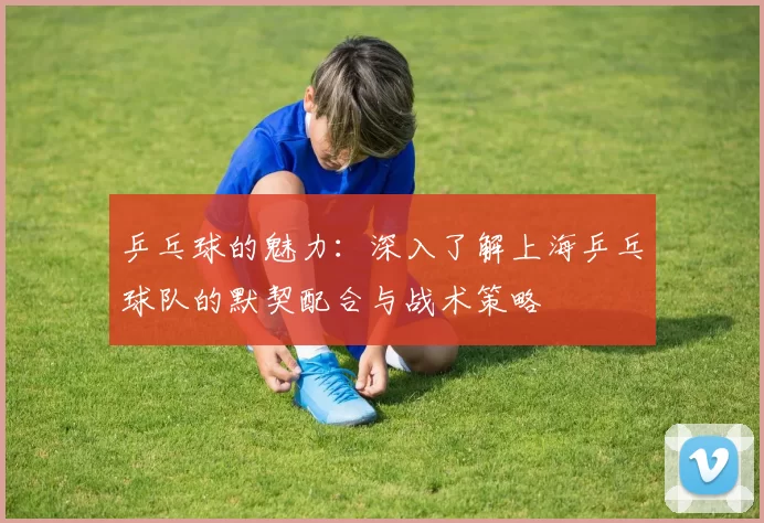 乒乓球的魅力：深入了解上海乒乓球队的默契配合与战术策略