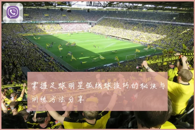 掌握足球明星弧线球技巧的秘诀与训练方法分享