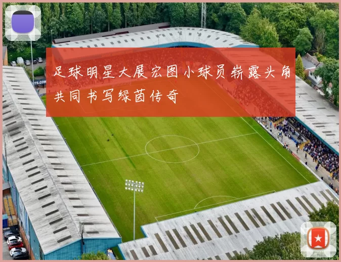 足球明星大展宏图小球员崭露头角共同书写绿茵传奇