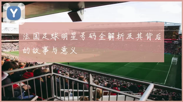 法国足球明星号码全解析及其背后的故事与意义