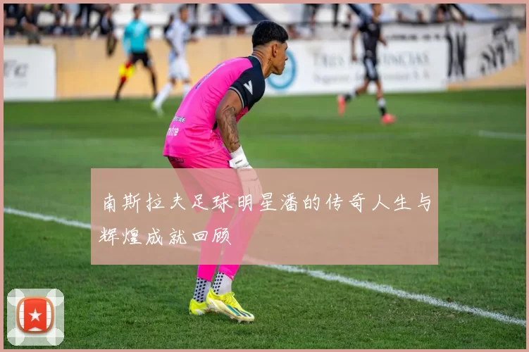 南斯拉夫足球明星潘的传奇人生与辉煌成就回顾