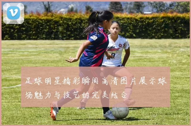 足球明星精彩瞬间高清图片展示球场魅力与技艺的完美结合
