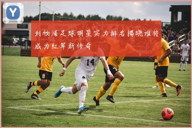 利物浦足球明星实力排名揭晓谁将成为红军新传奇