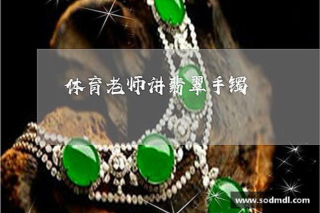 介绍金彩汇